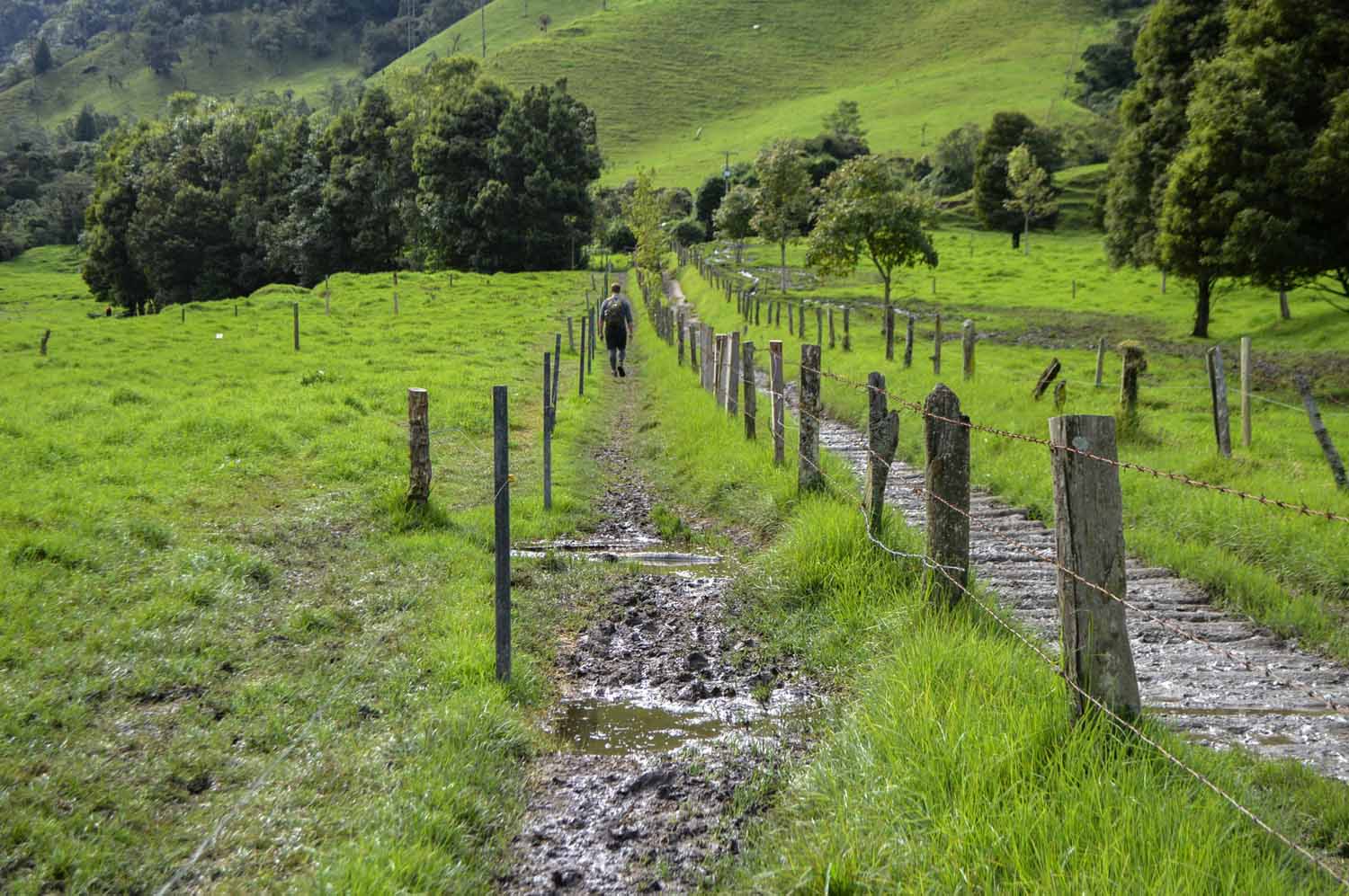 Best Mountain Bike Trails near Los Angeles, California