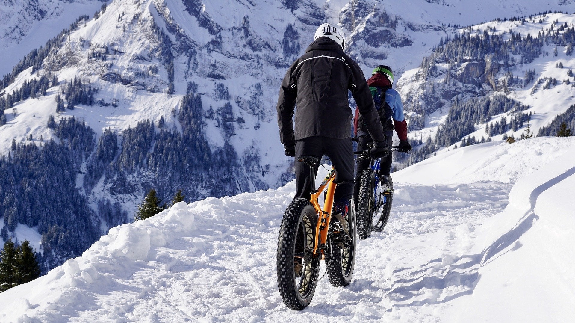 Fat Tire Bikes Are Here - Everything You Need To Know About Fat Tire Bikes