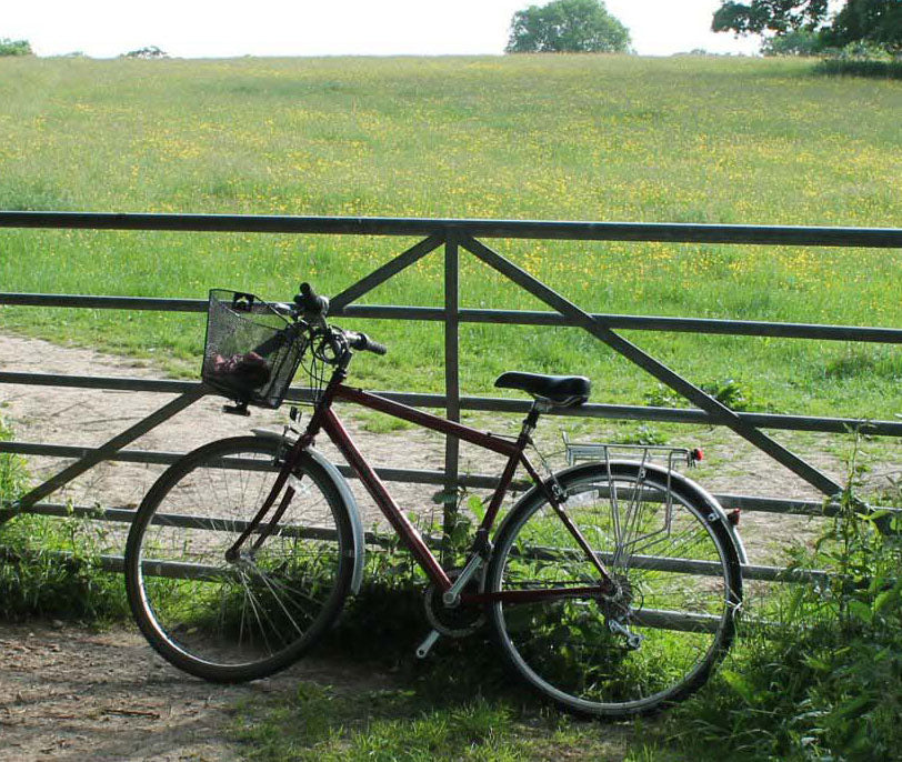 the historical backdrop of bicycle racks